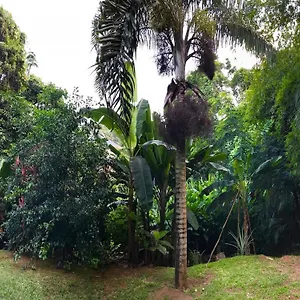 La Nature Appartement Au Cap